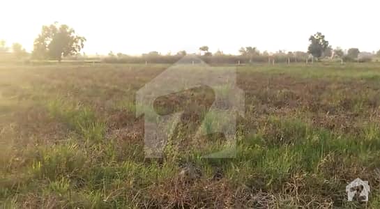 72 Kanal Farm House Is Available For Sale At Main Ferozpur Road Near Lalyani Dist Kasur At Prime Location