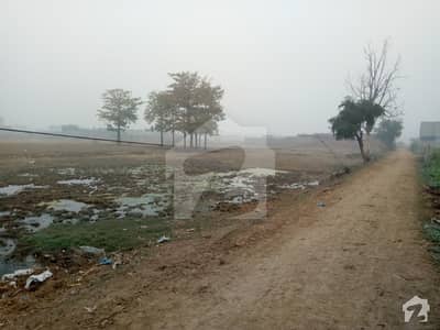 کریال لاہور میں 36 کنال زرعی زمین 8.64 کروڑ میں برائے فروخت۔