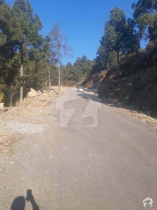 Affordable Residential Plot For Sale In Pir Sohawa