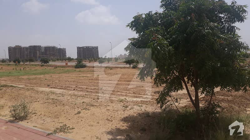 250 Yards Plot For Sale