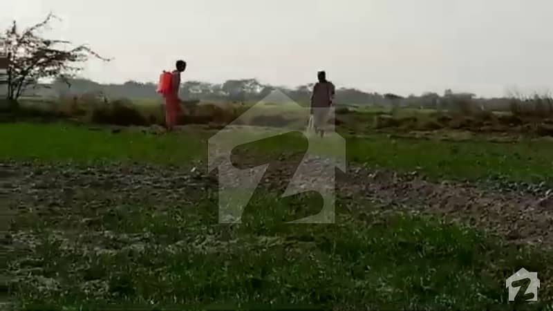 20 