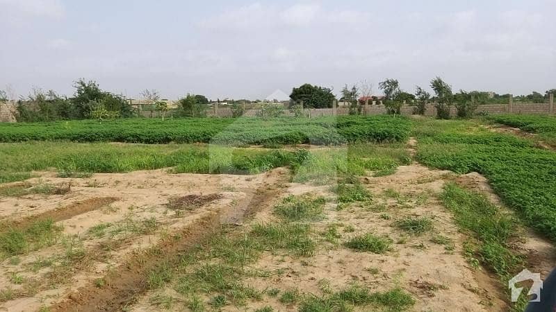 Land Cattle Farming For Rent