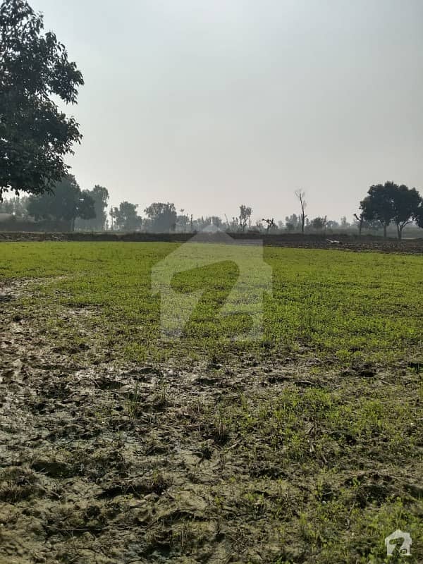 بیدیاں روڈ لاہور میں 8 کنال زرعی زمین 1.6 کروڑ میں برائے فروخت۔