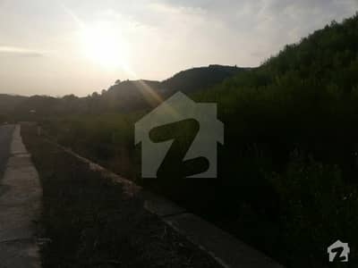 220 Kanal Agricultural Land In The Prime Location Of Islamabad Is Available For Sale
