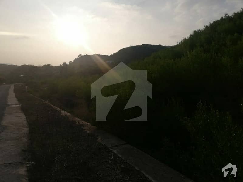 220 Kanal Agricultural Land In The Prime Location Of Islamabad Is Available For Sale