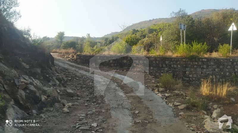 10 Kanal Agricultural Land With All The Basic Facilities Is Available For Sale.