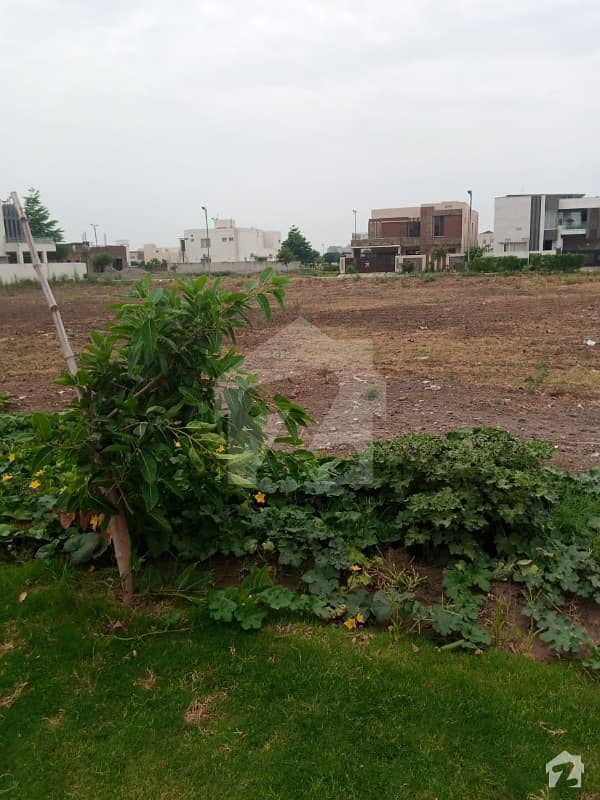 Residential Plot For Sale In Dha Phase 6 Block F
