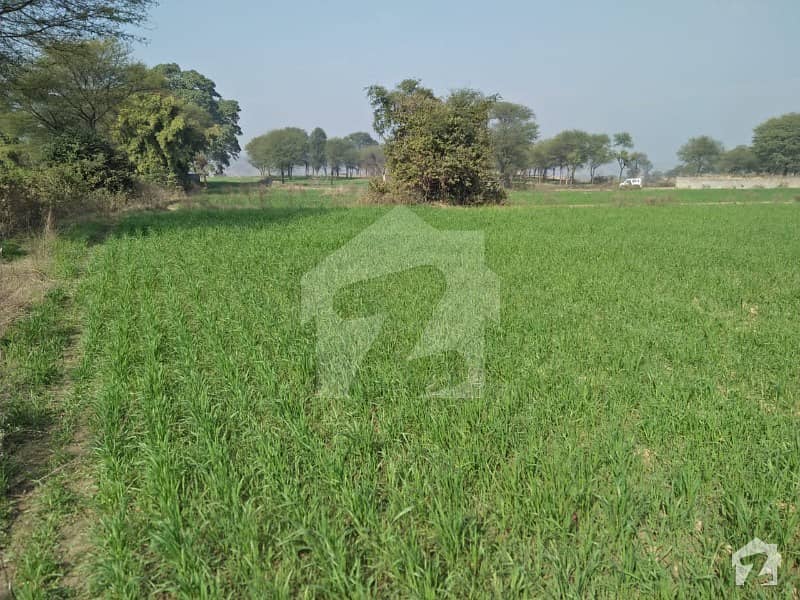 140 Kanal  500 Kanal Agriculture Land Near Bassali Bazar Rawat Rawalpindi