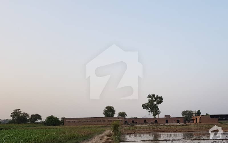 بدد وکے منک روڈ لاہور میں 54 کنال زرعی زمین 45.9 کروڑ میں برائے فروخت۔