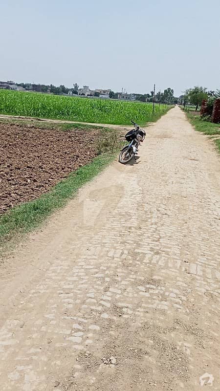 Corner Plot Agriculture Land For Sale In Ghunna Klan Near Sialkot City