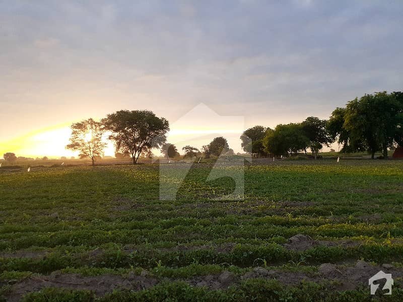 Agriculture Land For Sale  Near To National High Way Road Ahmad Pur East