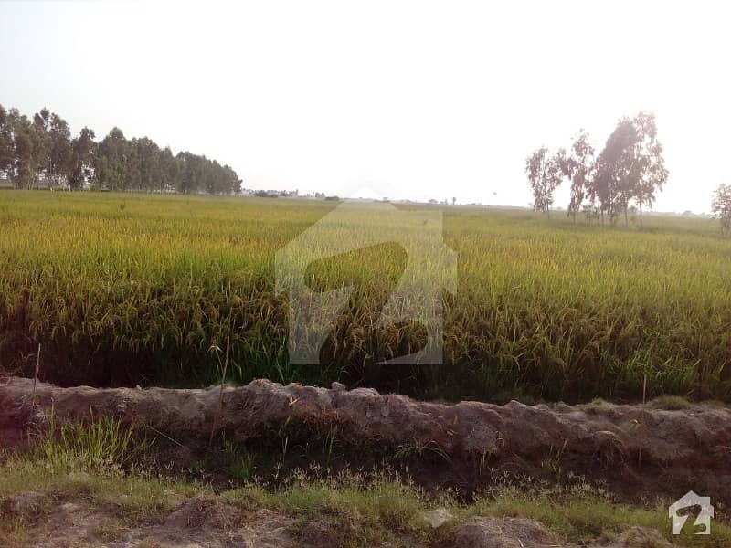 VIP Agricultural Land Available For Sale