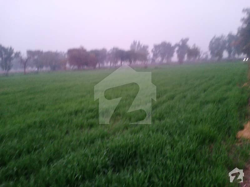 Low Investment High Return Opportunity Fertile Agriculture Land 4 Acres 9 Km Away From Lahore Ring Road