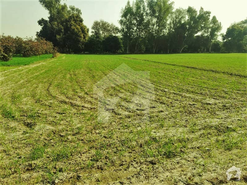 16 Kanal 2 Acre Agricultural Land