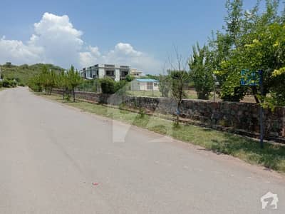 Sector D Category Commercial Plot File Is Available For Sale With Park