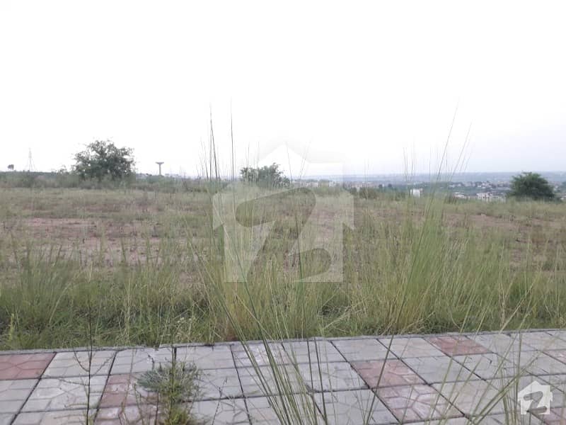 Corner Residential Plot Is Available For Sale At Attractive Location