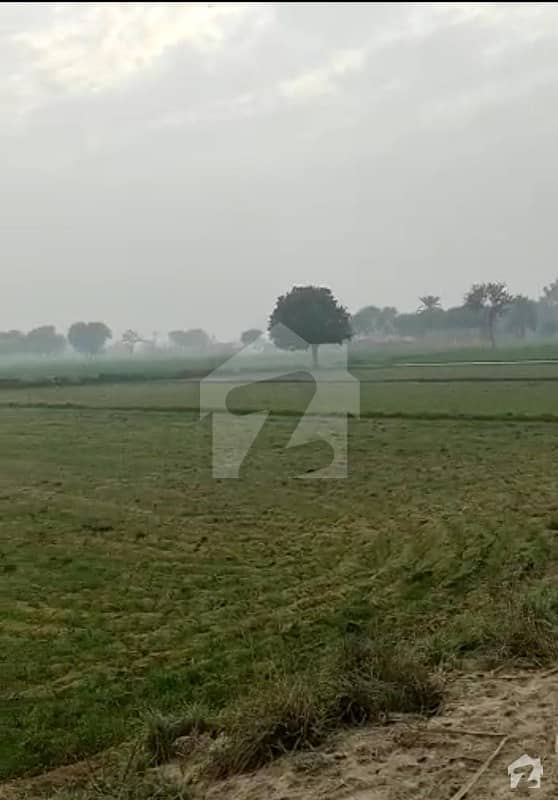 Agricultural Land For Sale