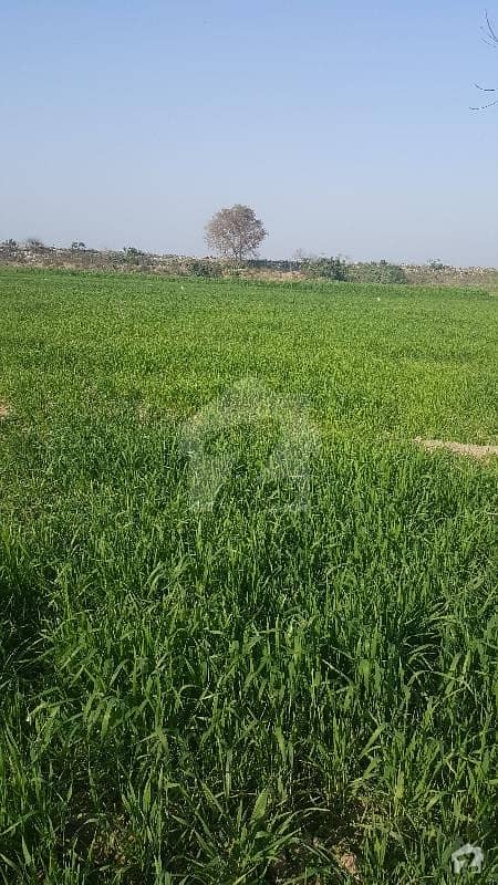 630000  Square Feet Agricultural Land For Sale In Gt Road