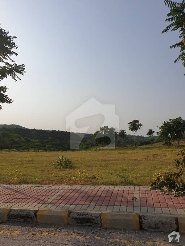 Best Economical Plot At The Top Heightened Area Of Serene City Dha Phase 3