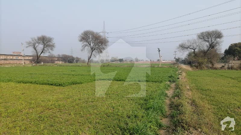 بدد وکے منک روڈ لاہور میں 54 کنال رہائشی پلاٹ 45.9 کروڑ میں برائے فروخت۔