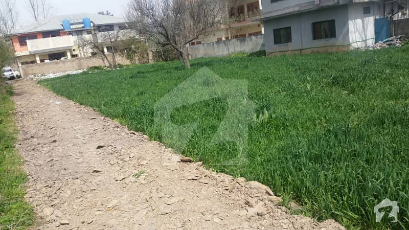 34 Kanal Land Available For Rent In Abbottabad