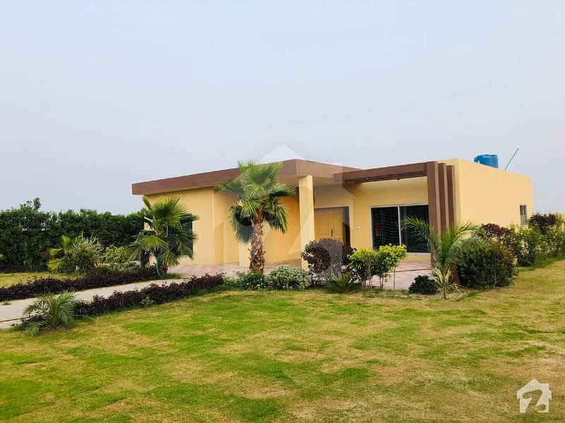 Golden Chance For Buyer Investors Rate Beutifull Lush Green 4 Kanal Farm House For Sale Near To Dha Phase 7 2 Kilometer Drive