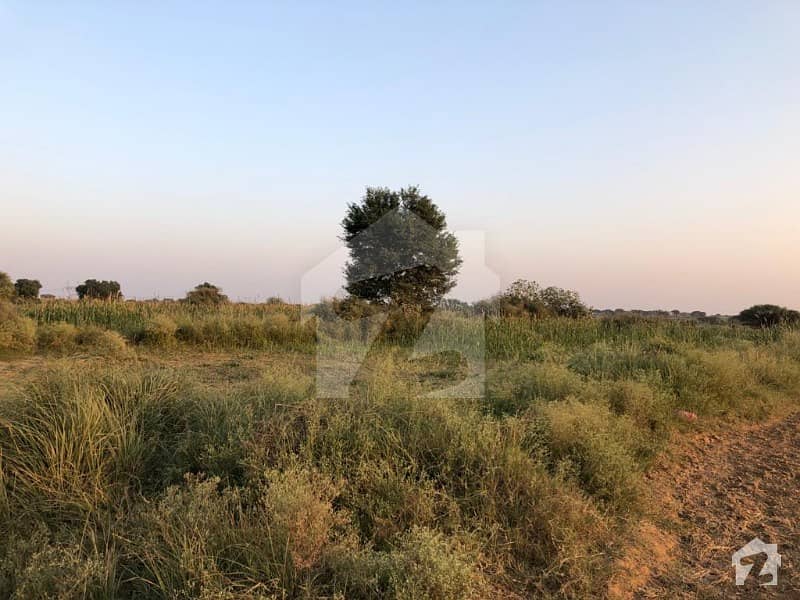Ideal Agricultural Land Is Available For Sale In Rawalpindi