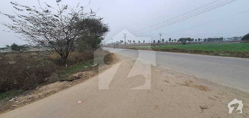برکی روڈ کینٹ لاہور میں 12 کنال زرعی زمین 9.6 کروڑ میں برائے فروخت۔