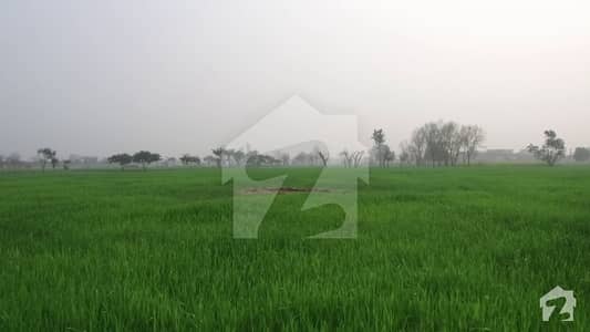 20 Kanal Agricultural Land For Sale Near Dha At Bedian Road Lahore 20 Kanal Agricultural Land For Sale Near Dha At Bedian Road Lahore