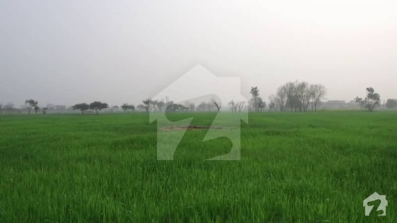 8 Kanal Agricultural Land For Sale Near Dha At Bedian Road Lahore