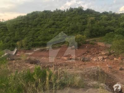 14 Kanal 2 Side Corner Plot Full Time Security Available For Sale 14 Kanal 2 Side Corner Plot Full Time Security Available For Sale