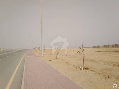 Plot Is Available For Sale Plot Is Available For Sale