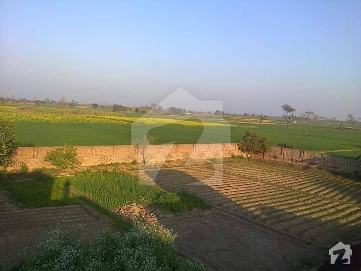 Agricultural Land Chak 112 Sargodha Road Faislabad For Sale Agricultural Land Chak 112 Sargodha Road Faislabad For Sale