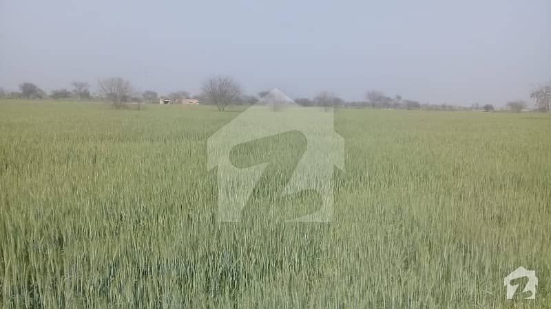 One 4-L Road Agricultural Land For Sale Sized 450000  Square Feet
