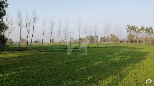 50 Kanal Land For Sale At Main Tarogill Road Lahore