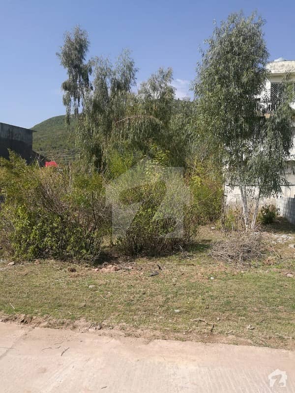 Residential Plot Of 1125 Square Feet In Judicial Town Is Available