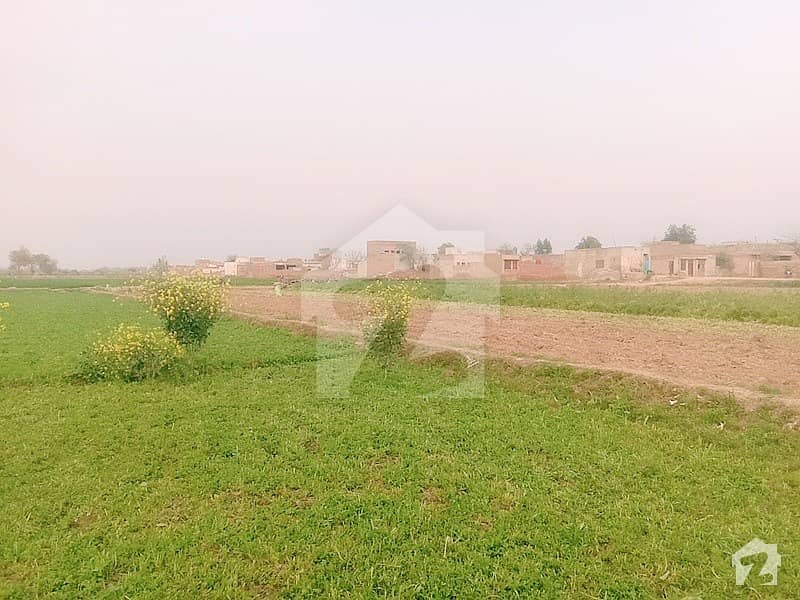 36000  Square Feet Agricultural Land Up For Sale In Shaheenabad Road