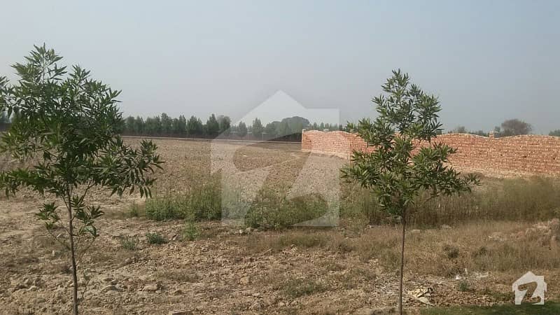برکی روڈ کینٹ لاہور میں 1 کنال زرعی زمین 25 لاکھ میں برائے فروخت۔