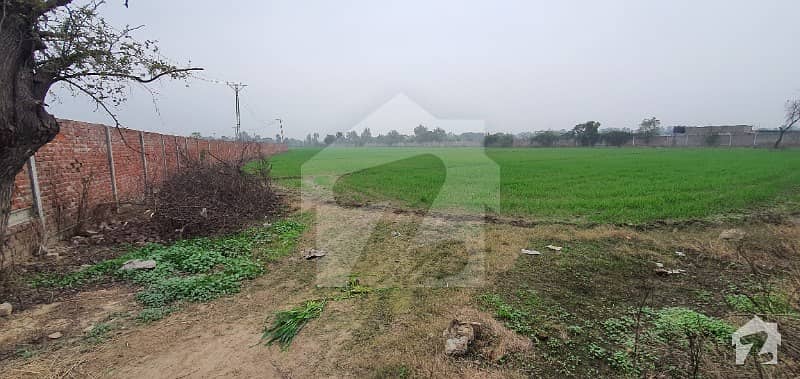 برکی روڈ کینٹ لاہور میں 1 کنال زرعی زمین 23 لاکھ میں برائے فروخت۔