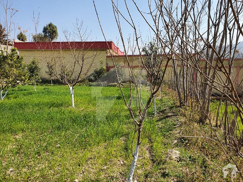 Residential Plot Is Available For Sale In Lower Dir