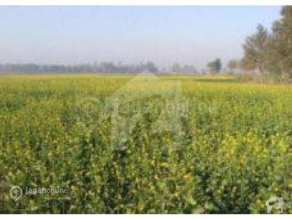 117000  Square Feet Agricultural Land In Saddar For Sale At Good Location