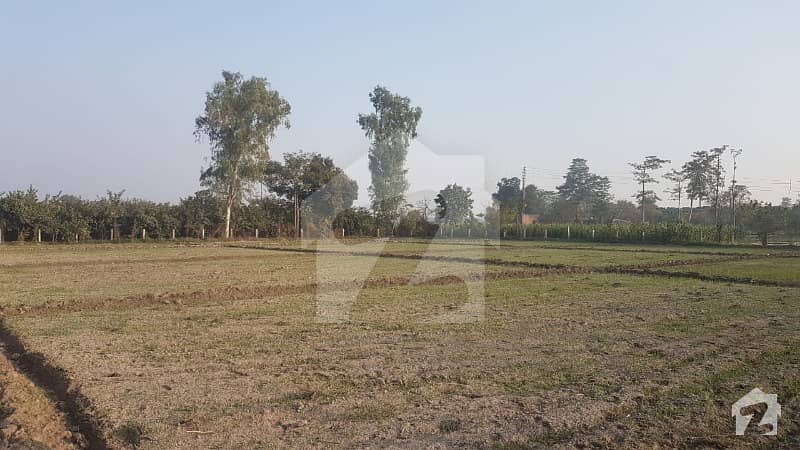 4 Acre Farmhouse For Sale On Hot Location Ne Faizpur Interchange
