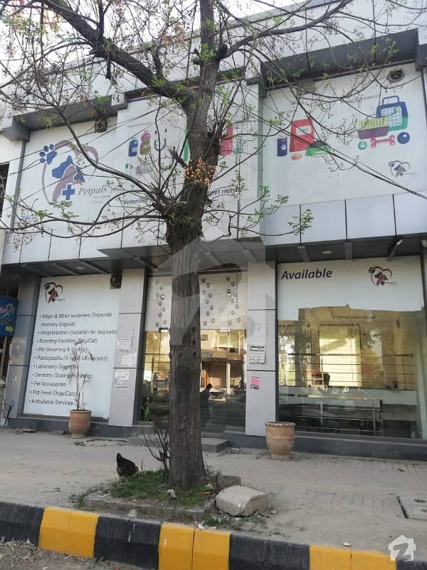 Commercial Building For Sale Commercial Building For Sale
