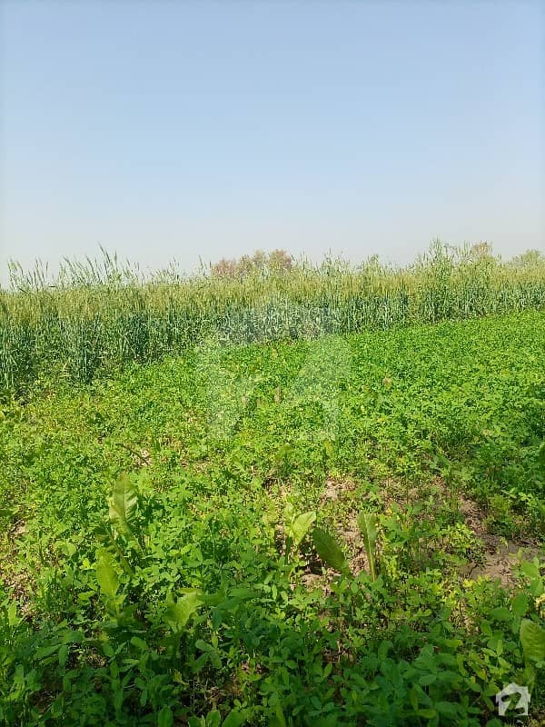 1440000  Square Feet Agricultural Land For Sale In Moro