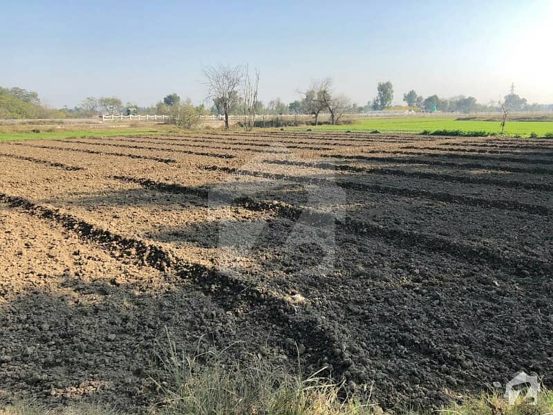 99000  Square Feet Agricultural Land Is Available In Swabi Road