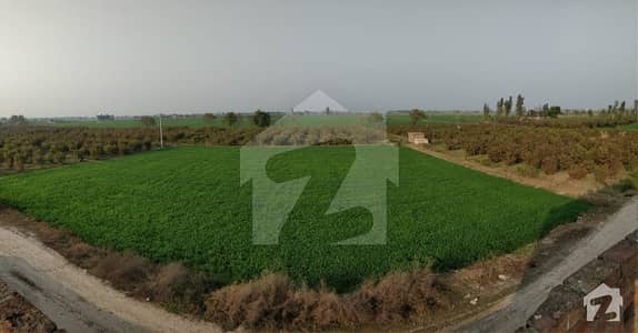 41 Acre Agriculture Land For Sale In 1.5 Km Sheikhupura Road