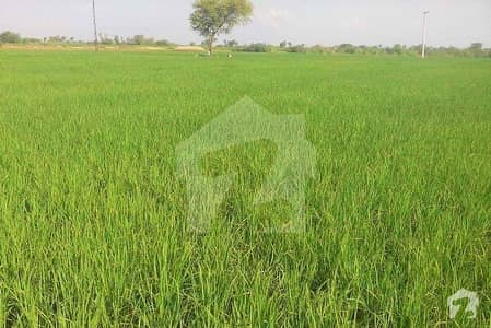 پنڈی داس روڈ شاہدرہ لاہور میں 68 کنال زرعی زمین 8.5 کروڑ میں برائے فروخت۔