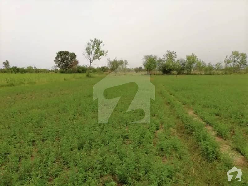 68 Kanal Agricultural Land Available For Sale