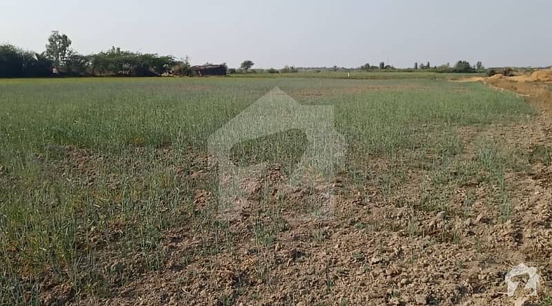 Perfect 130680  Square Feet Agricultural Land In Keti Bunder Highway For Rent