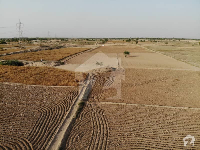 100 Kanal Cultivated Land At Chak 314 Gb